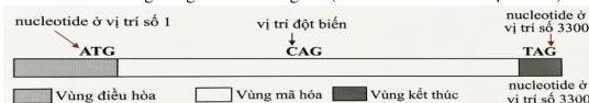 img-3.jpeg