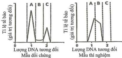 img-14.jpeg